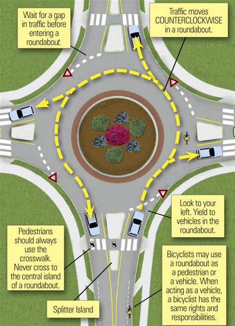 Magic roundabout sunflower heitht